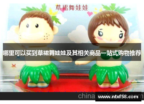哪里可以买到草裙舞娃娃及其相关商品一站式购物推荐