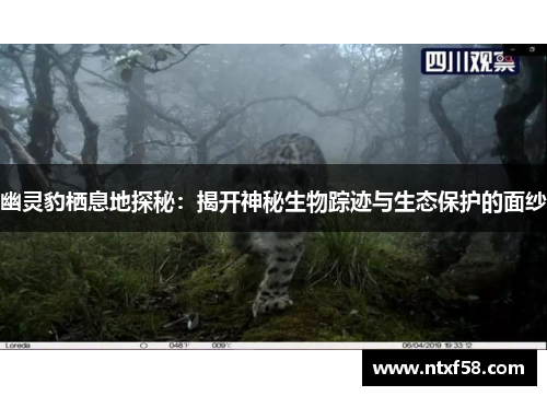 幽灵豹栖息地探秘：揭开神秘生物踪迹与生态保护的面纱