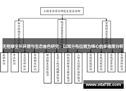 无相草生长环境与生态角色研究：以其分布位置为核心的多维度分析