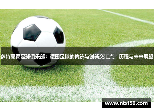 多特蒙德足球俱乐部：德国足球的传统与创新交汇点，历程与未来展望